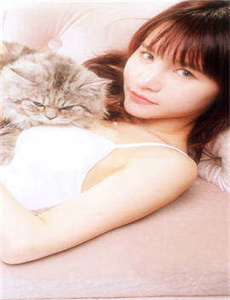 金牌评论员第三季