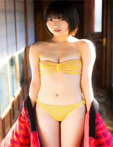 天盛长歌