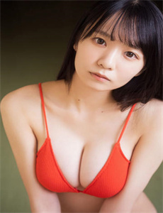 家园卫士·英雄杀第一季