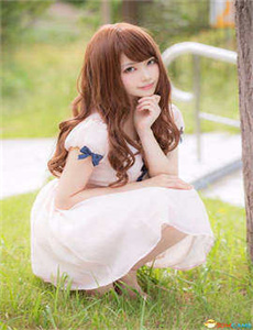 爱情进化论DVD版