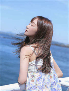 十二生肖守护神